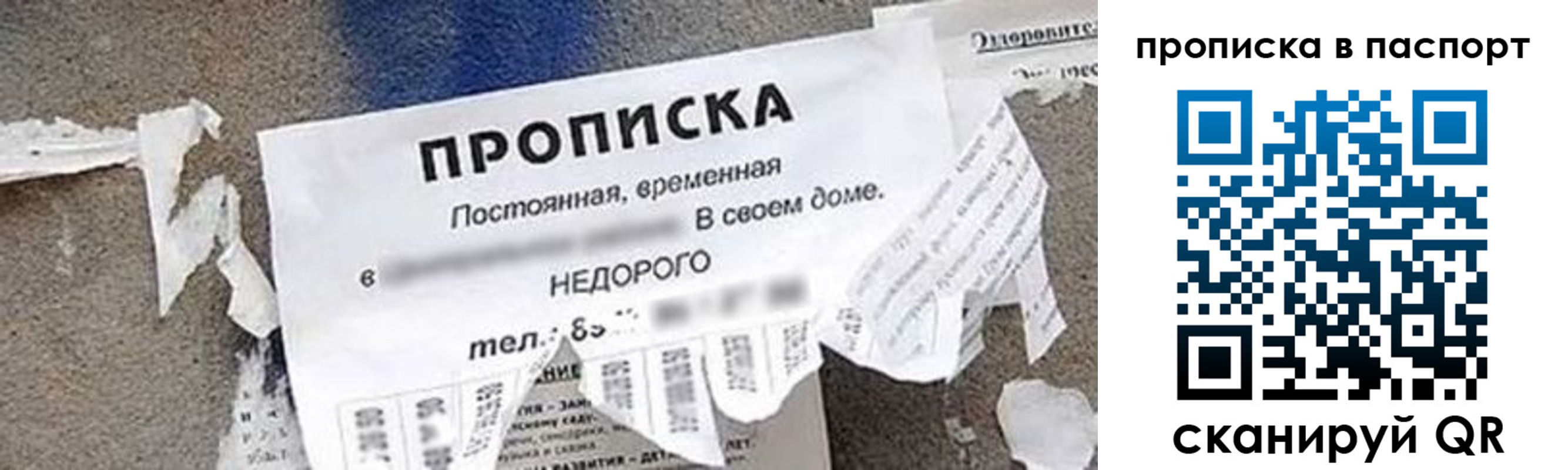 где прописаться в Кохме